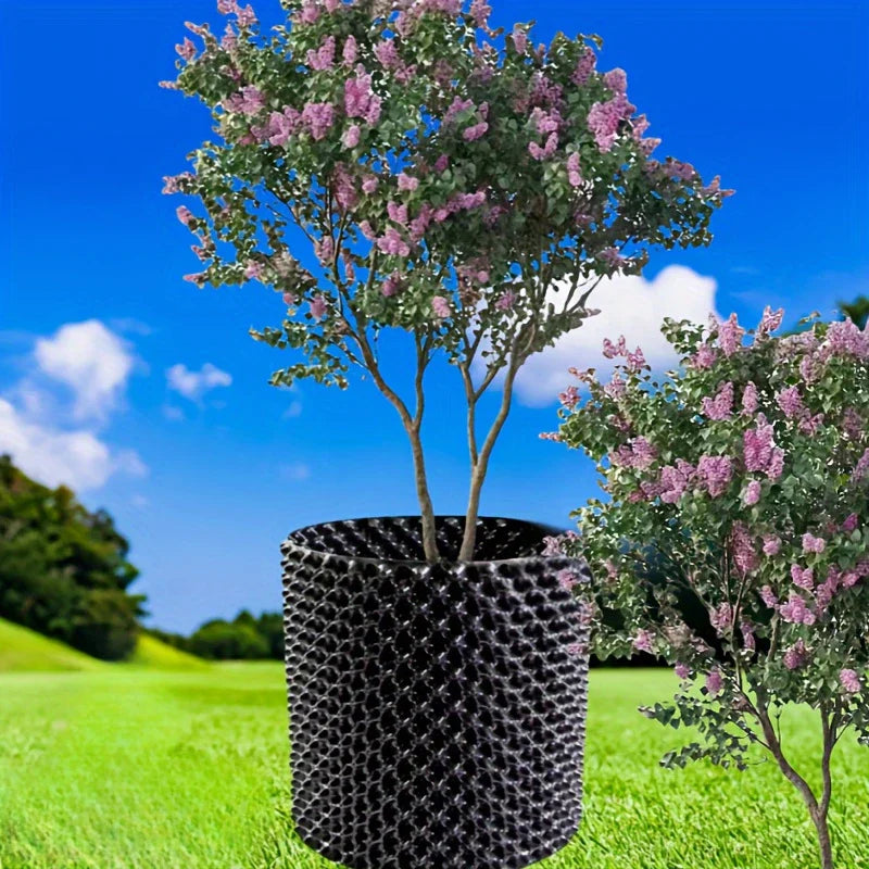 Rotkontrollapparat för växter och landskapsdesign för att främja hälsosam tillväxt Carvallo