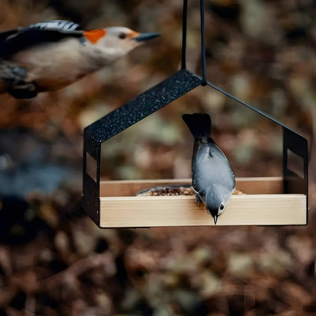 TweetWood Bo | Elegant Hängande Fågelhus Carvallo