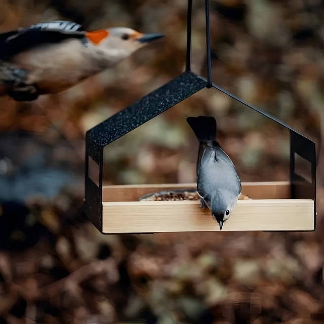 TweetWood Bo | Elegant Hängande Fågelhus Carvallo