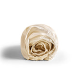 Damask Luxury 1000 TC Lakan Carvallo