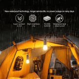 Carvallo – Helles Licht. Laddad av solen. Carvallo