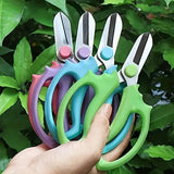 Carvallo Garden Scissors | Precision Cut with Comfort Grip | For Left & Right-Handed | Stainless Steel Blades Carvallo