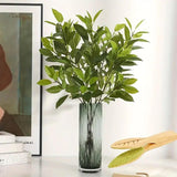 Carvallo Träbladrenare | Mild växtvård utan elektricitet | Ergonomisk & miljövänlig | För inomhus- & utomhusväxter Carvallo