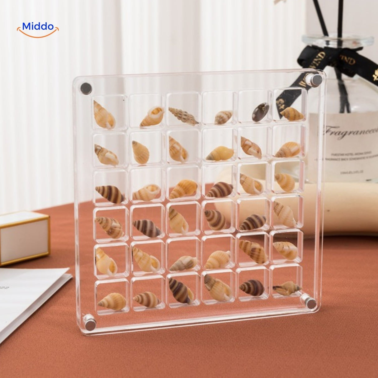 Displaycase: den ultimata displaylösningen för snäckor och annat MILA Sverige