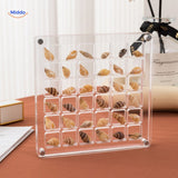 Displaycase: den ultimata displaylösningen för snäckor och annat MILA Sverige