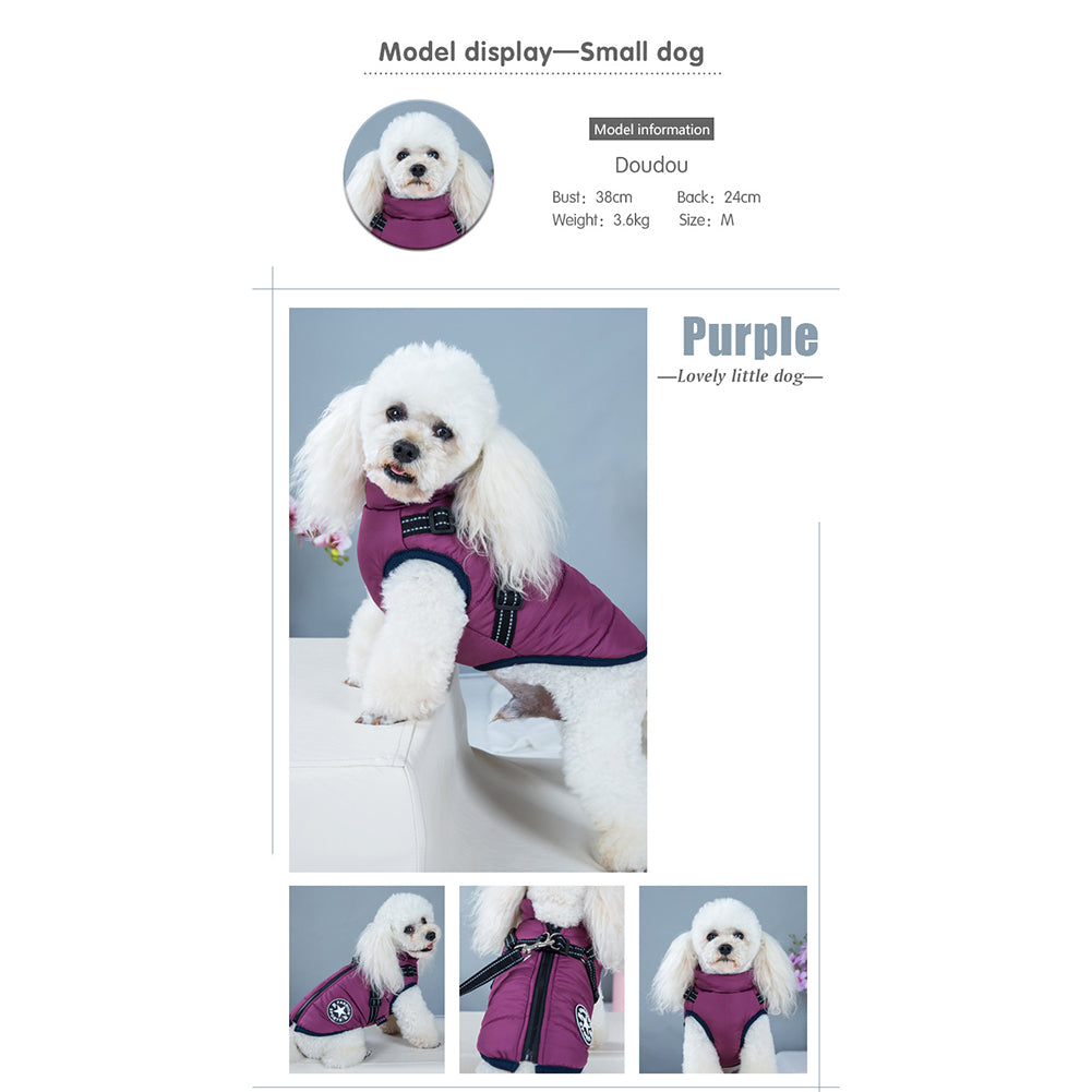 WoofGuard™ - Vattentät vinterjacka med integrerad sele Carvallo