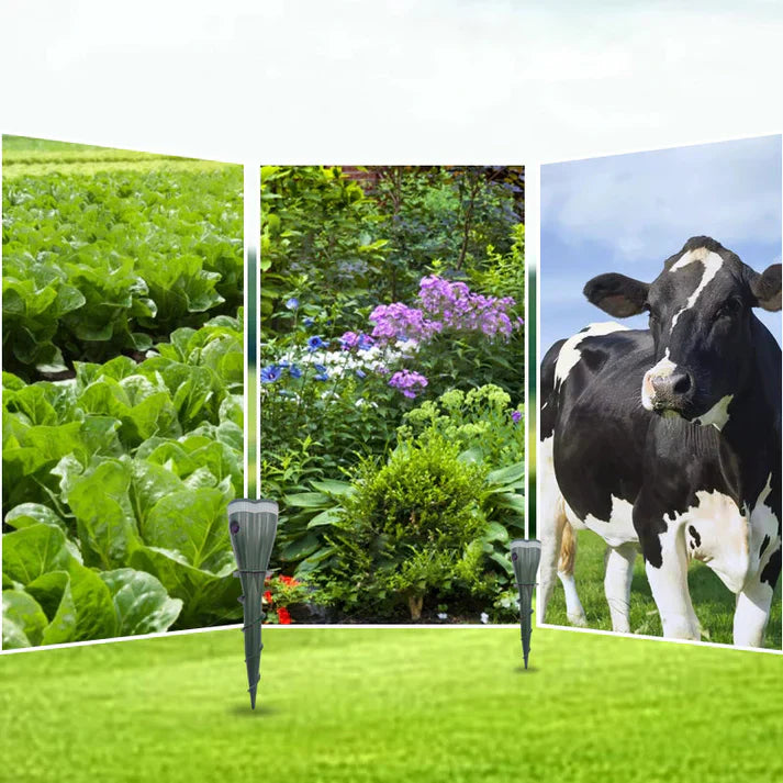 Carvallo | VibraGreen – Ro för din trädgård Carvallo