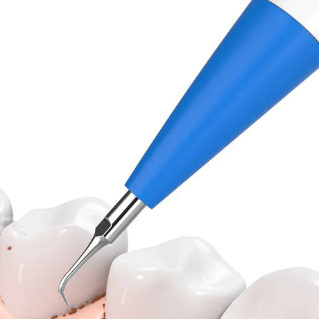 PureSpark – Komplett munhygienset för hundar med justerbar intensitet Carvallo