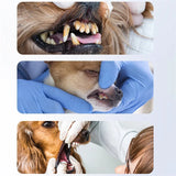 PureSpark – Komplett munhygienset för hundar med justerbar intensitet Carvallo