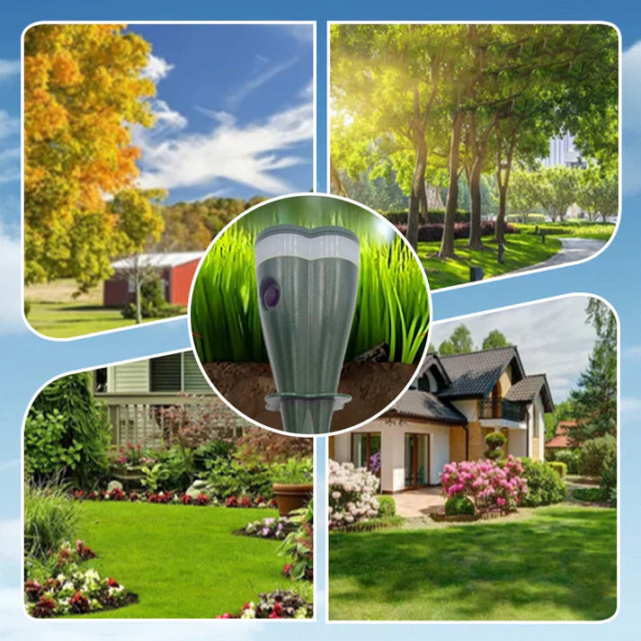 Carvallo | VibraGreen – Ro för din trädgård Carvallo