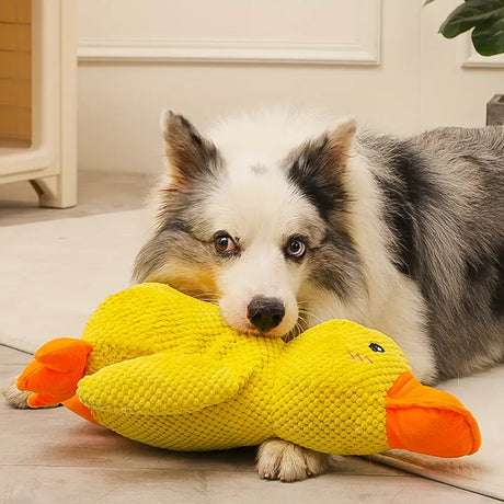 Hund Leksak Plysch Anka Mental Stimulering Carvallo