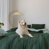 EtherealNest Set - Elegant duo sängkläder set Carvallo