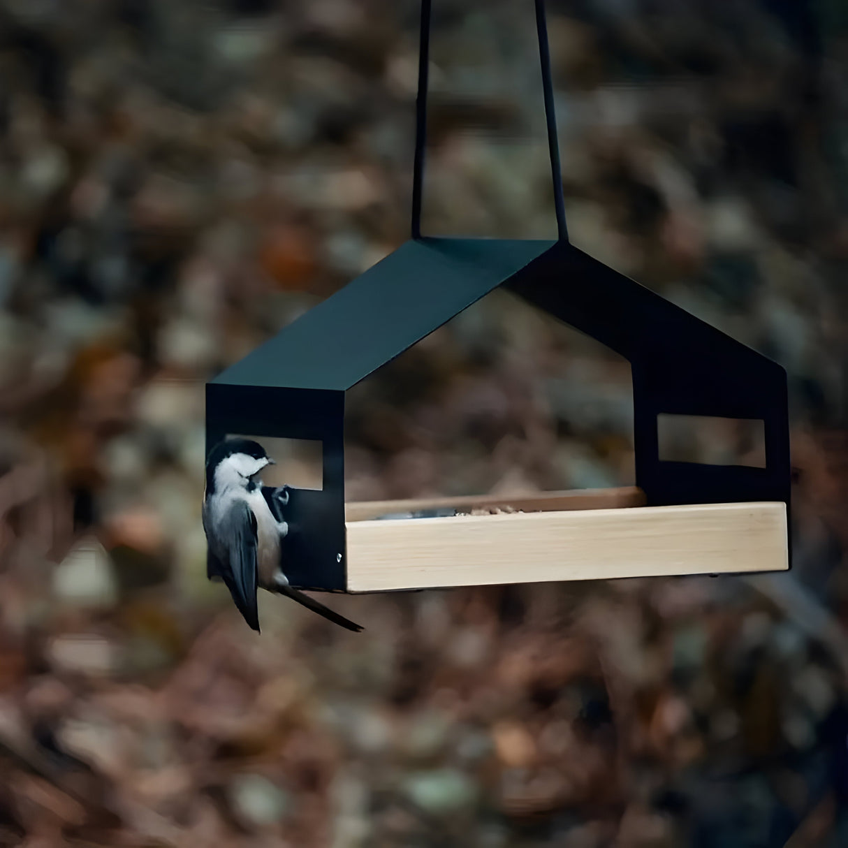 TweetWood Bo | Elegant Hängande Fågelhus Carvallo