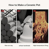 SpinTea 360° roterande teservis – Inkluderar 4 koppar och praktisk förvaringspåse MILA Sverige