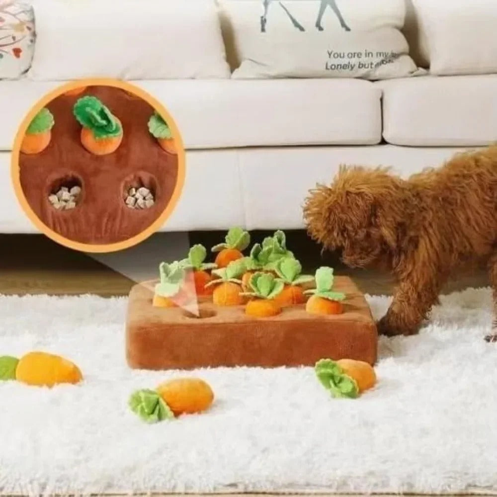 Interaktiv Plush Morots Hundleksak - Morots Snuffle Mat för Hundar Carvallo