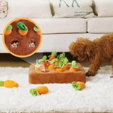 Interaktiv Plush Morots Hundleksak - Morots Snuffle Mat för Hundar Carvallo