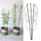 Klatram för växter – Stabil stödjeringram för klätterväxter Carvallo