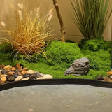 Konstgjord mossa för landskapsdesign – Mossa och blommor för dekoration och floristisk Carvallo