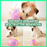 Carvallo – Bollen som fördriver tristessen Carvallo