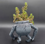 Alexander - Iron Fist Pot MILA Sverige