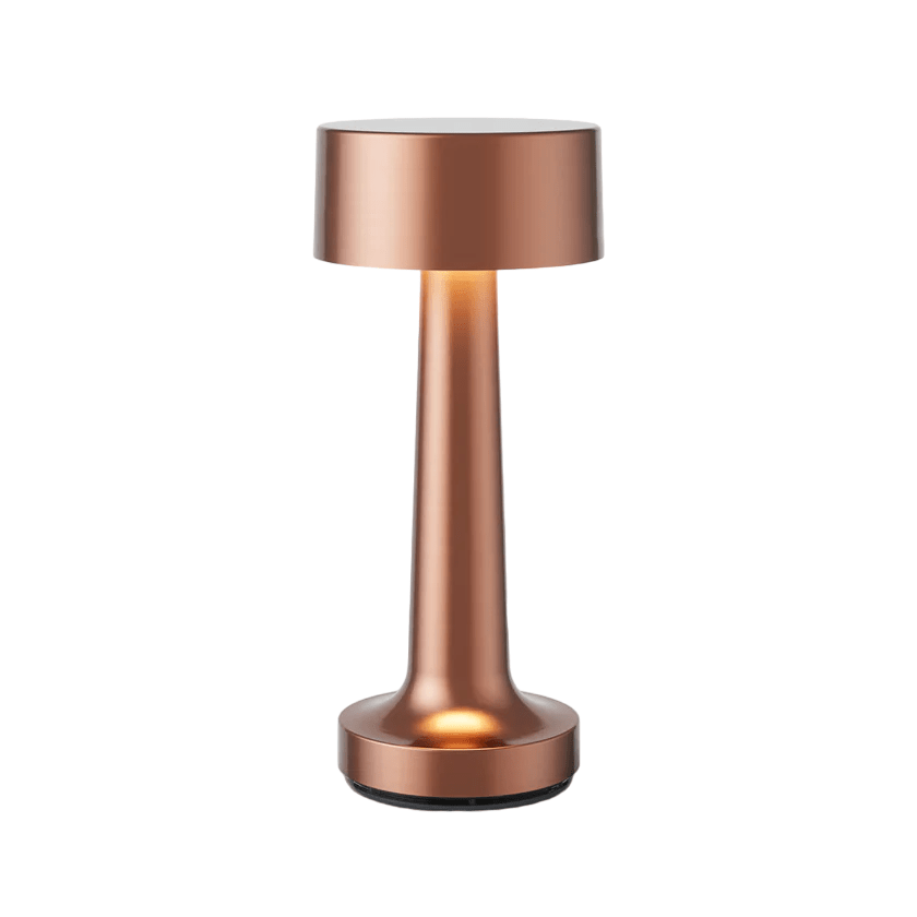 LED Bordslampa med metallmodern design Carvallo