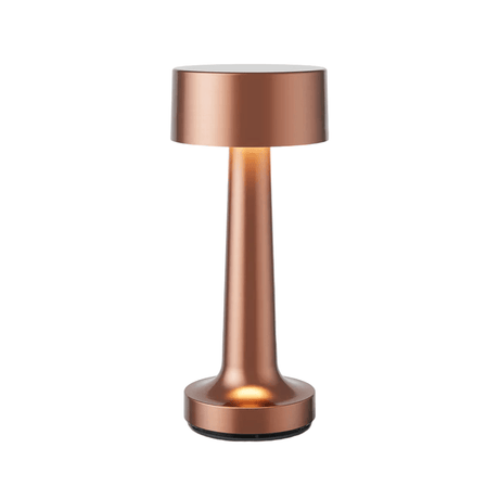 LED Bordslampa med metallmodern design Carvallo