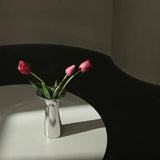 Elegant & Sleek Silver Ceramic Flower Vase for Modern Decor Carvallo