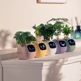 Rayvia Smart Blomkruka med AI-sensorer – Interaktiv Krukväxt för Enkel Växtskötsel Carvallo