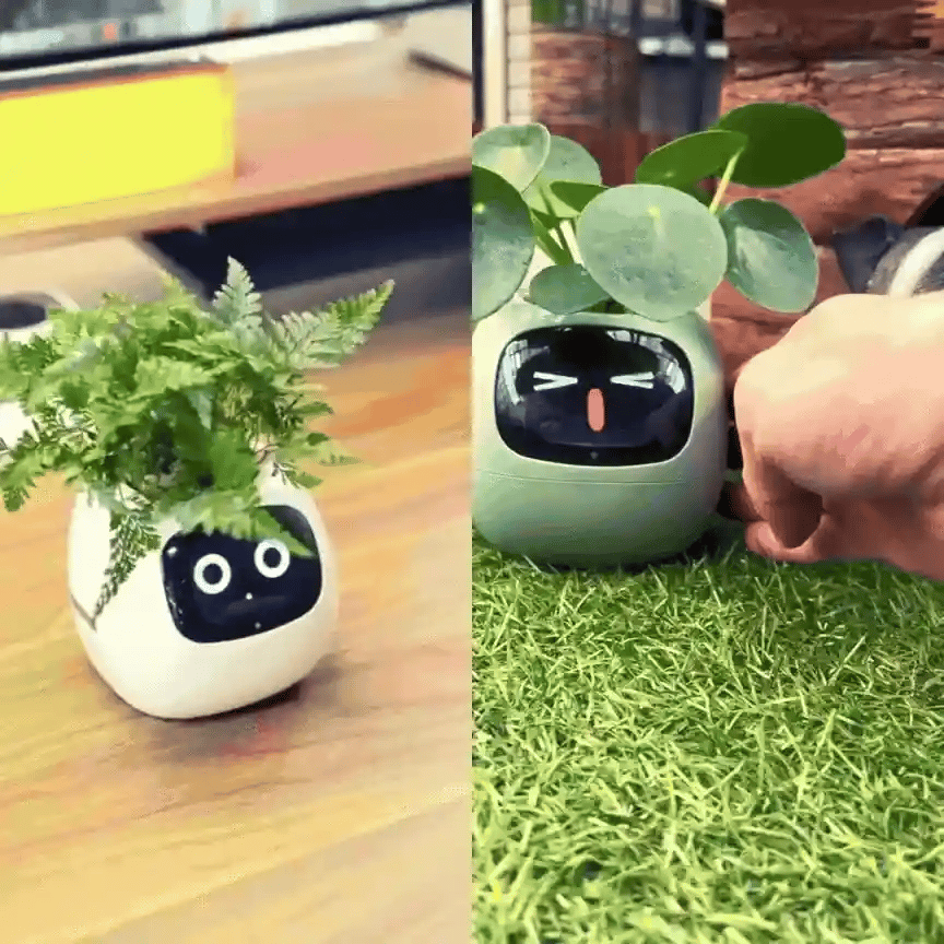 Rayvia Smart Blomkruka med AI-sensorer – Interaktiv Krukväxt för Enkel Växtskötsel Carvallo