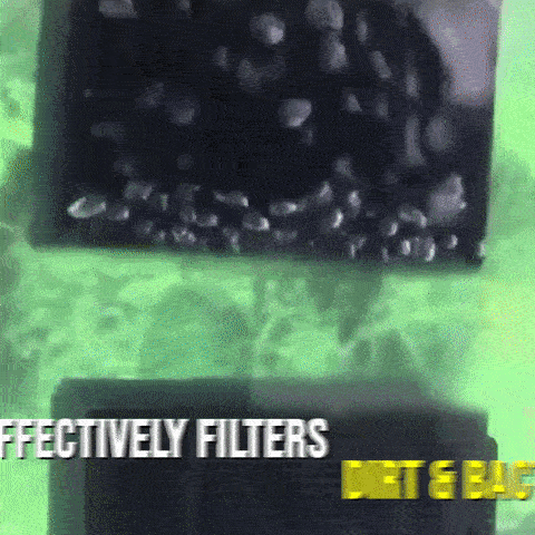 Luxora Vattenrenare Bio Cube för Boskapsakvarium & Hästdamm Carvallo