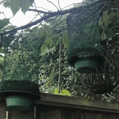 Upphängningsbar insektsfälla – Giftfri lösning för mygg, flugor och getingar-VaruZ-Hemnix
