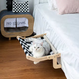 Cloud Cat Oasis Carvallo