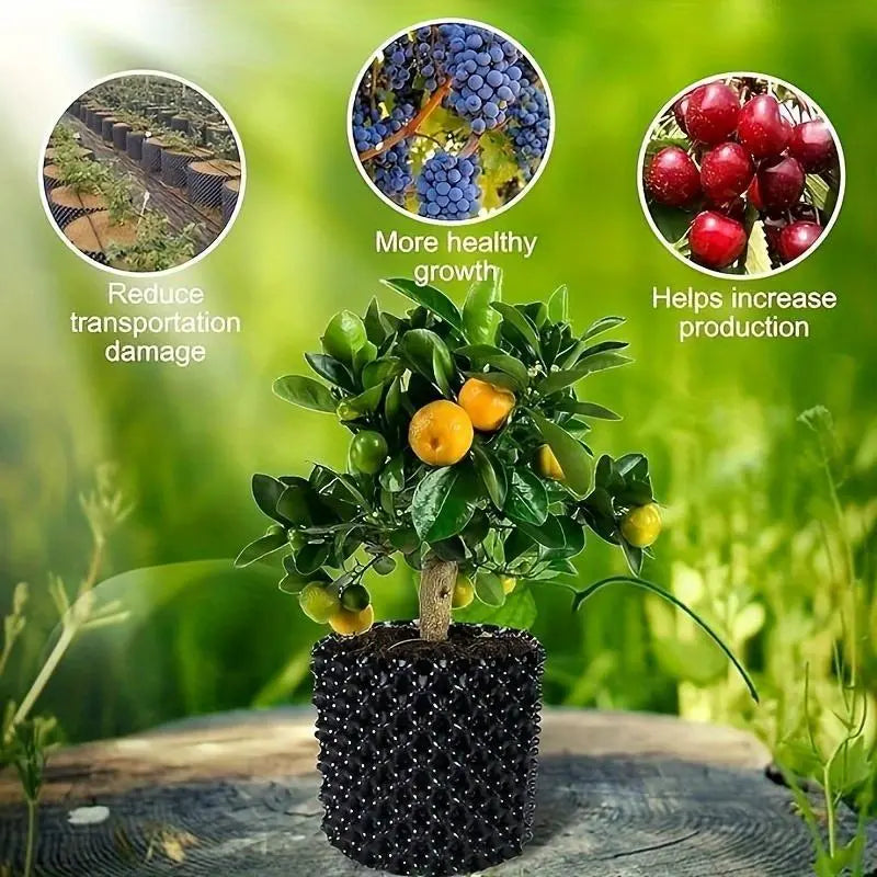 Rotkontrollapparat för växter och landskapsdesign för att främja hälsosam tillväxt Carvallo