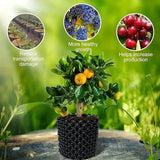 Rotkontrollapparat för växter och landskapsdesign för att främja hälsosam tillväxt Carvallo