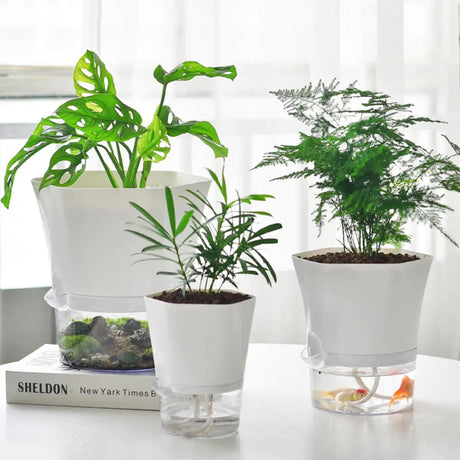 AquaPlanter - Smart Blomkruka och Miniakvarium i Ett Carvallo