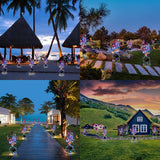 Carvallo - Förvandla din trädgård med lysande fjärilar Carvallo