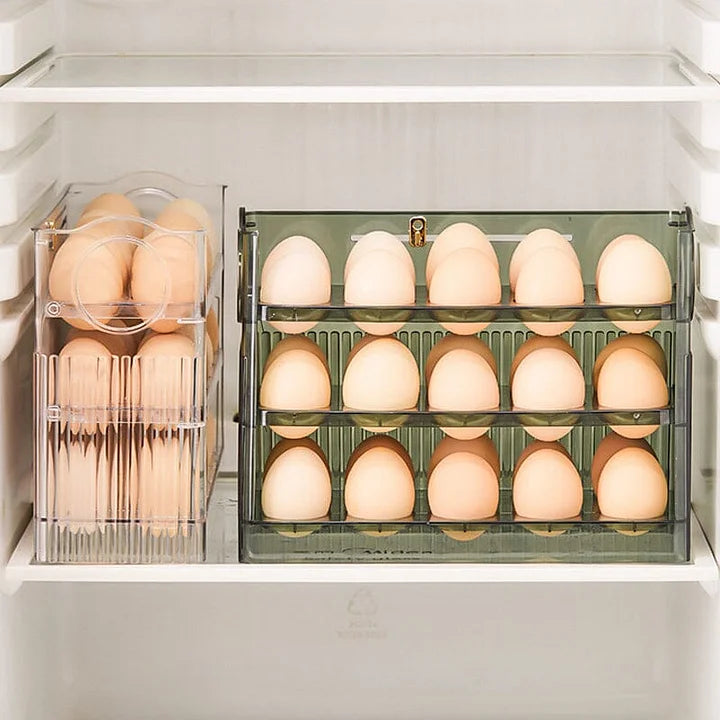 Praktisk Ägg Organizer Carvallo