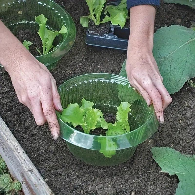 Carvallo skyddsringar | 20-pack | Växtskydd mot sniglar & insekter | Utan kemi eller elektricitet | Återanvändbar Carvallo