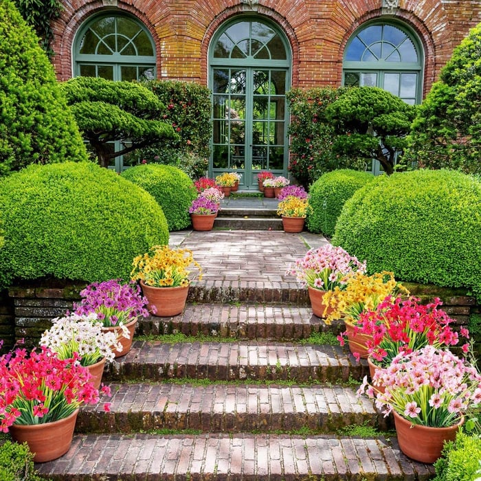 Carvallo | BloomAura – Naturtroget blommprakt utan vårdinsats Carvallo