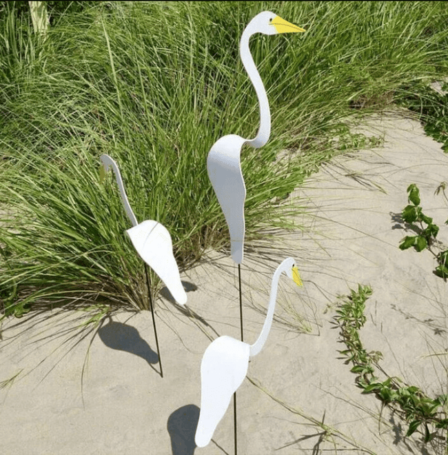 Carvallo - Graciös Roternade Fågel För En Fin Trädgård Carvallo