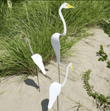 Carvallo - Graciös Roternade Fågel För En Fin Trädgård Carvallo