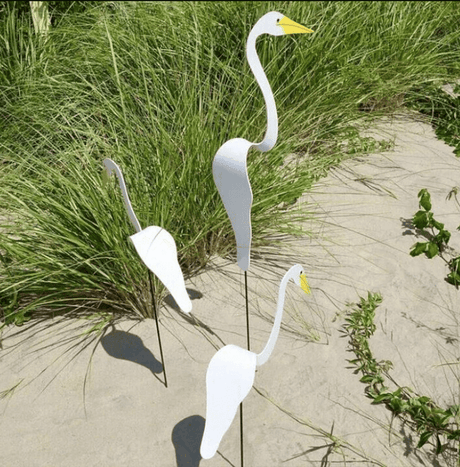 Carvallo - Graciös Roternade Fågel För En Fin Trädgård Carvallo