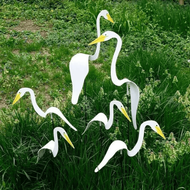 Carvallo - Graciös Roternade Fågel För En Fin Trädgård Carvallo