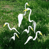 Carvallo - Graciös Roternade Fågel För En Fin Trädgård Carvallo