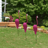 Carvallo - Graciös Roternade Fågel För En Fin Trädgård Carvallo