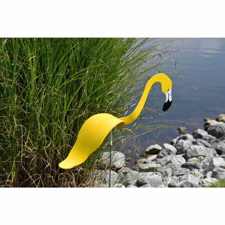 Carvallo - Graciös Roternade Fågel För En Fin Trädgård Carvallo