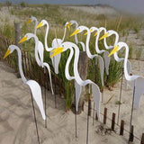 Carvallo - Graciös Roternade Fågel För En Fin Trädgård Carvallo