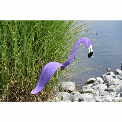 Carvallo - Graciös Roternade Fågel För En Fin Trädgård Carvallo