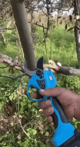 Elektrisk Sekatör med Lithiumbatteri 20v-VaruZ-Hemnix