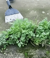 Skrapa Pro – multifunktionell ogräs- och rengöringsskrapa i stål-VaruZ-Hemnix